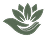 Plantify Logo